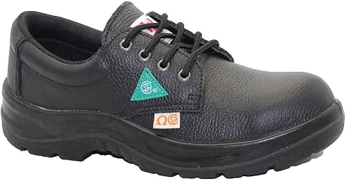Dolphin D11 CSA/US Standard Approved Safety Shoes, Construction Boots, Work Shoes,