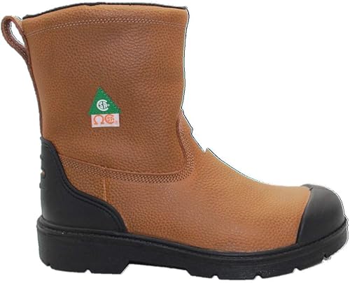 Dolphin D8 CSA Approved Safety Shoes, Construction Boots, Work Shoes